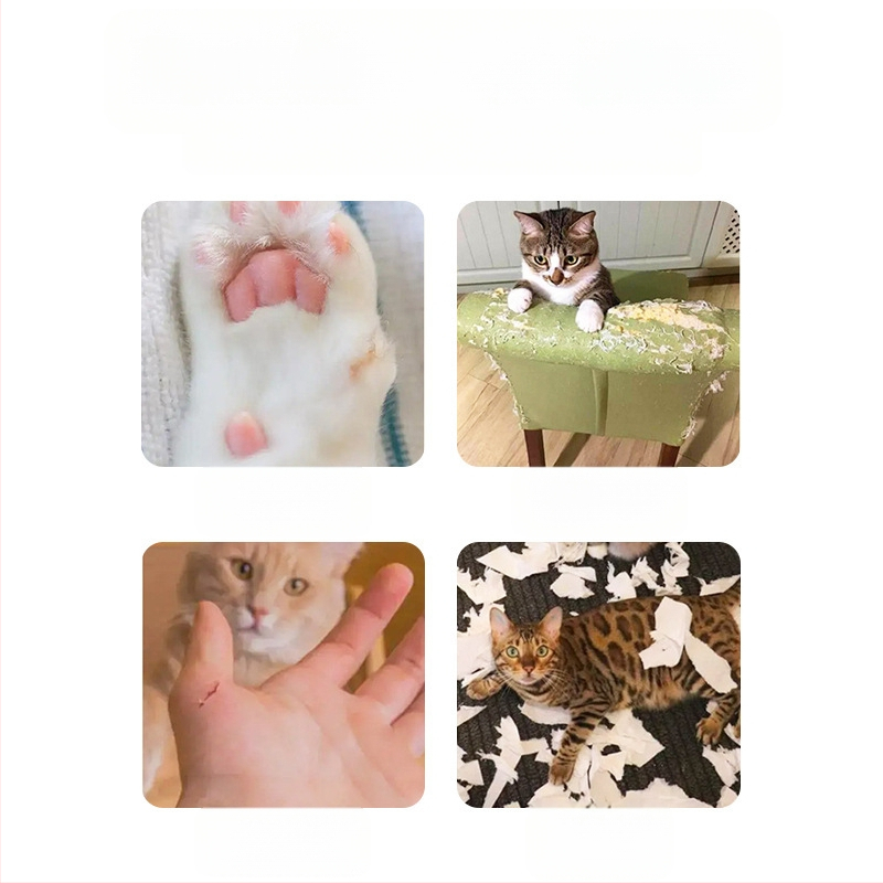 „Magic Organ“ katės draskymo lenta, sulankstomas kačių žaislas su varpeliu, savaiminio palengvinimo katės šlifavimo letena, gofruotas popierius, atsparus įbrėžimams katės lizdas