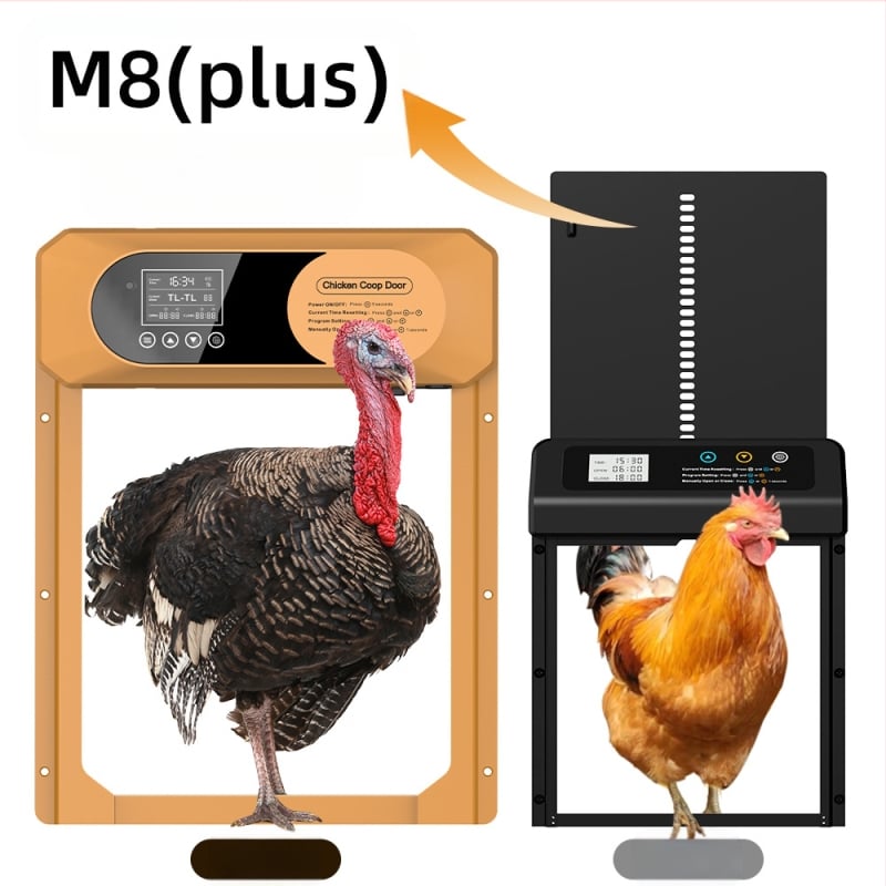 Suur piiriülene uus kanakuudi uks, täisautomaatne päikesepaneelidega kanauks, intelligentne muljumisvastane lemmikloomauks, valgustundlik ajastus