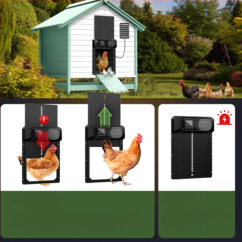 Suur piiriülene uus kanakuudi uks, täisautomaatne päikesepaneelidega kanauks, intelligentne muljumisvastane lemmikloomauks, valgustundlik ajastus