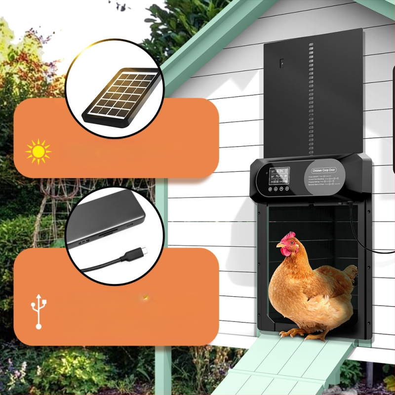 Suur piiriülene uus kanakuudi uks, täisautomaatne päikesepaneelidega kanauks, intelligentne muljumisvastane lemmikloomauks, valgustundlik ajastus