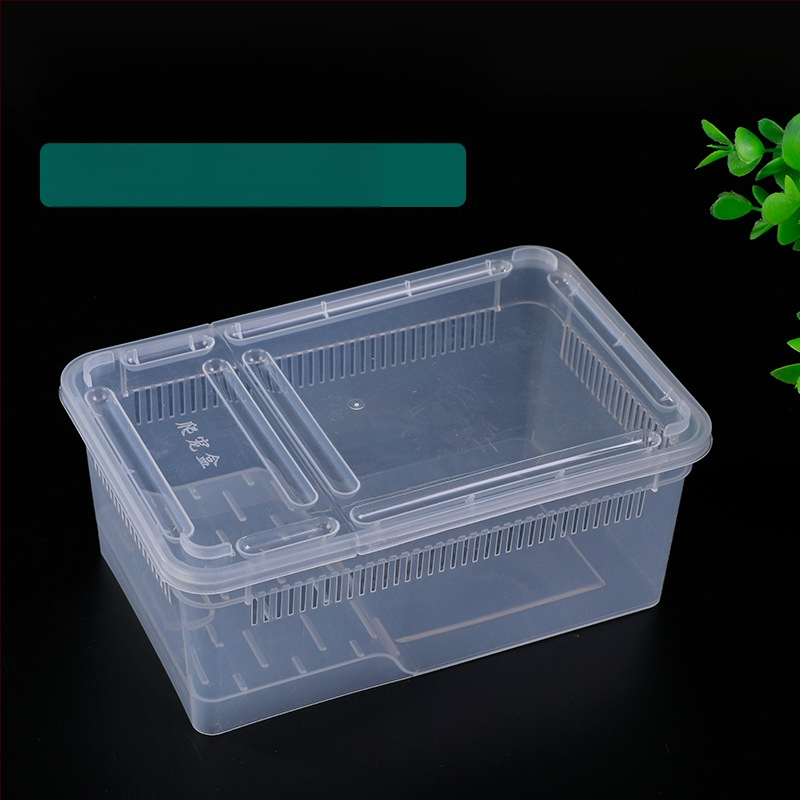 Фабрика на едро кутия за хранене на влечуги, домашни любимци, охлюви, пълзящи кутии за домашни любимци, рак-отшелник, рогата жаба, гущер, кутия за насекоми, пълзящи кутии за домашни любимци