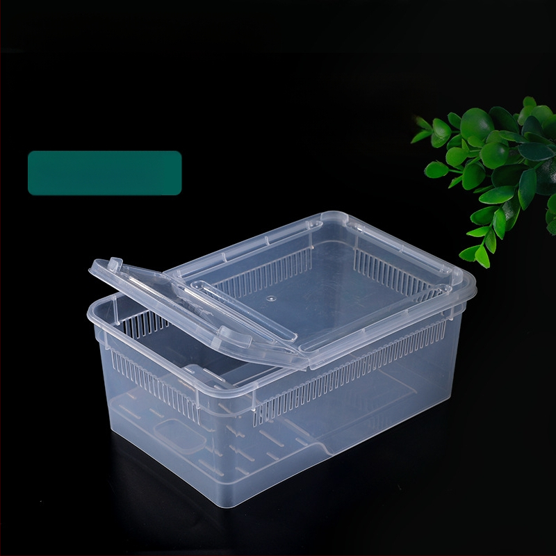 Фабрика на едро кутия за хранене на влечуги, домашни любимци, охлюви, пълзящи кутии за домашни любимци, рак-отшелник, рогата жаба, гущер, кутия за насекоми, пълзящи кутии за домашни любимци