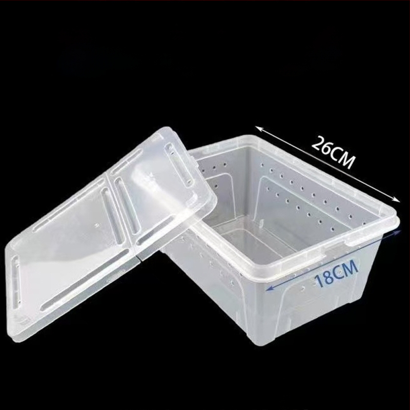 Фабрика на едро кутия за хранене на влечуги, домашни любимци, охлюви, пълзящи кутии за домашни любимци, рак-отшелник, рогата жаба, гущер, кутия за насекоми, пълзящи кутии за домашни любимци