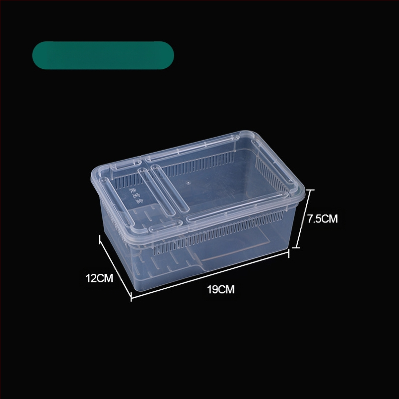 Фабрика на едро кутия за хранене на влечуги, домашни любимци, охлюви, пълзящи кутии за домашни любимци, рак-отшелник, рогата жаба, гущер, кутия за насекоми, пълзящи кутии за домашни любимци