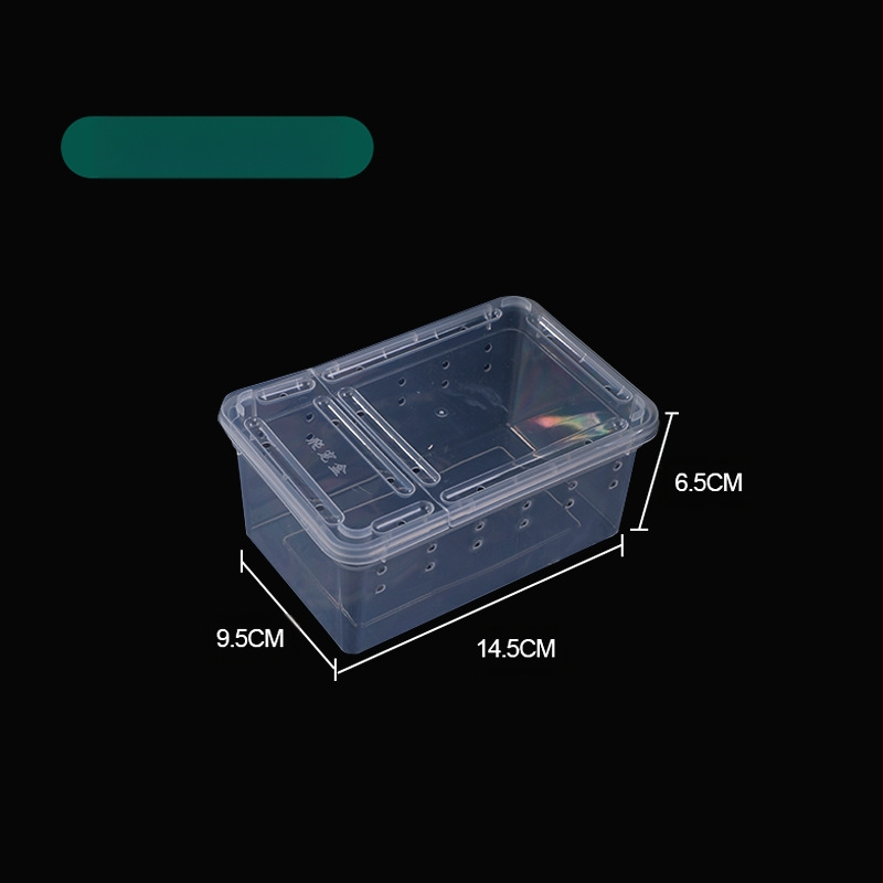 Фабрика на едро кутия за хранене на влечуги, домашни любимци, охлюви, пълзящи кутии за домашни любимци, рак-отшелник, рогата жаба, гущер, кутия за насекоми, пълзящи кутии за домашни любимци