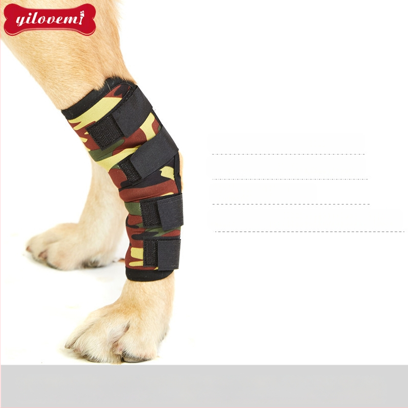 Új kisállat-kellékek Kutya térdvédő kötés Műtét utáni védőhuzat Kutya ízületvédő huzat Nyalogatásgátló tükröződésmentes szindróma utáni felépülés