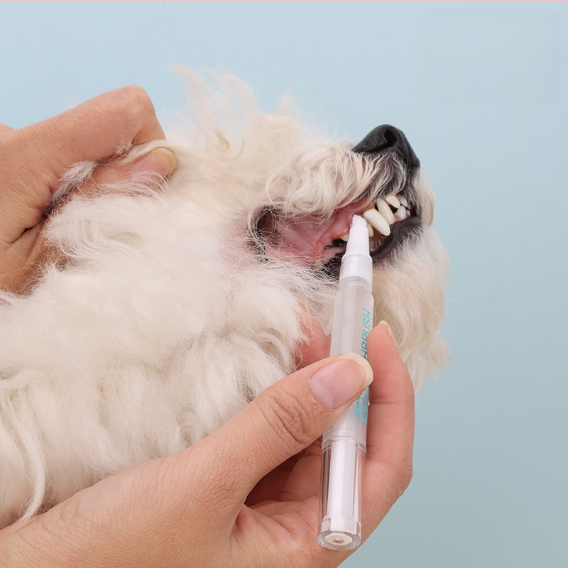 Οδοντόβουρτσα για κατοικίδια, Οδοντόβουρτσα για γάτα και σκύλο, Οδοντόβουρτσα, Οδοντόβουρτσα καθαρισμού "όλα σε ένα", Είδη κατοικίδιων ζώων, Οδοντόβουρτσα σκύλου