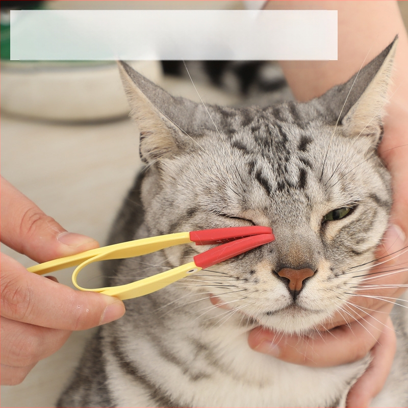Lemmiklooma pisarahari kassi koera silma väljaheidete hari sõlmehari silmapuhastusklamber pehme hari Amazoni eksklusiivne