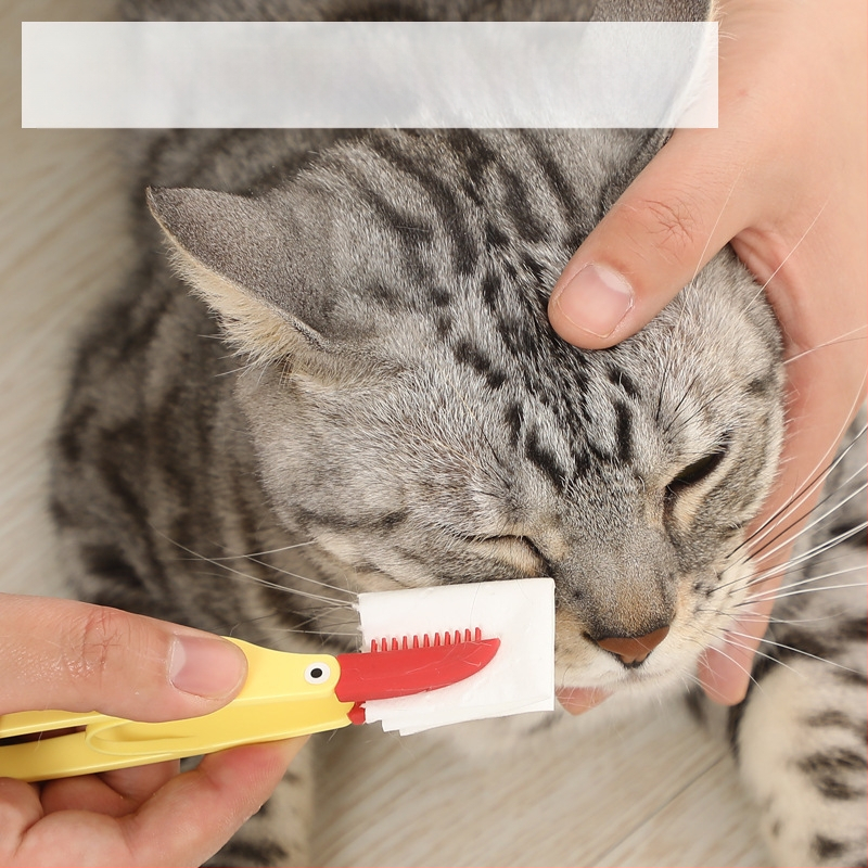 Lemmiklooma pisarahari kassi koera silma väljaheidete hari sõlmehari silmapuhastusklamber pehme hari Amazoni eksklusiivne