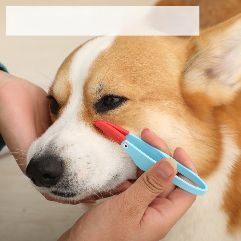 Lemmiklooma pisarahari kassi koera silma väljaheidete hari sõlmehari silmapuhastusklamber pehme hari Amazoni eksklusiivne