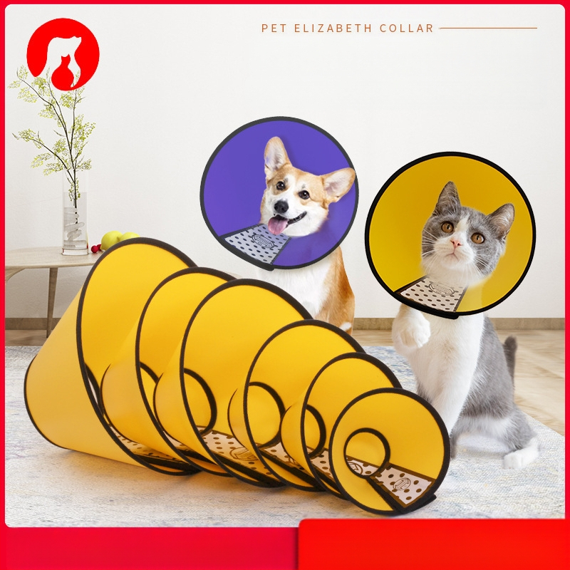 Šuns Elžbietos žiedas, augintinio apsauginis uždangalas, šuns apsaugos nuo įkandimo uždangalas, galvos apdangalas, apsaugantis nuo įbrėžimų, kaklo apdangalas, katės žiedas nuo laižymo