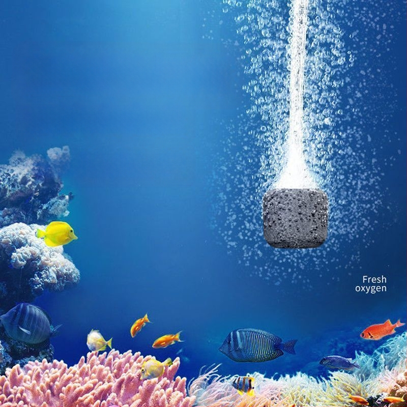 [Qingcang gydymas] Buitinis akvariumo deguonies siurblys Atmosferinis deguonies siurblys Deguonies siurblys Lauko žvejybos deguonies siurblys