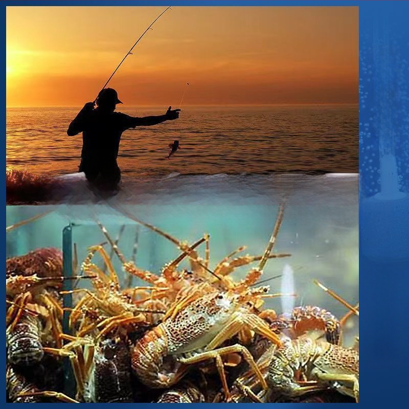 [Qingcang gydymas] Buitinis akvariumo deguonies siurblys Atmosferinis deguonies siurblys Deguonies siurblys Lauko žvejybos deguonies siurblys