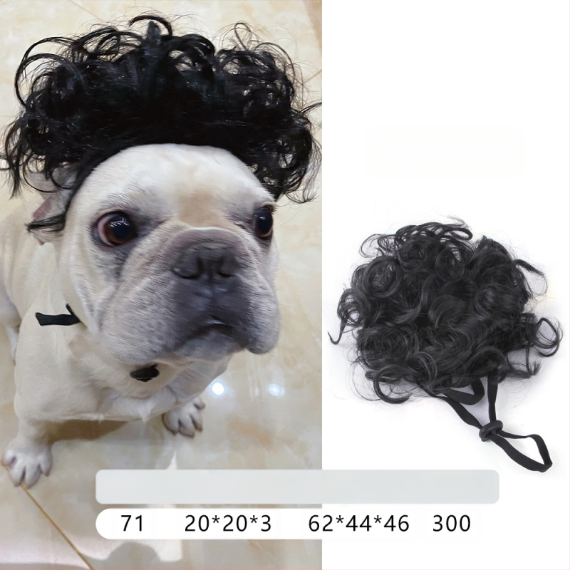 Naminio gyvūnėlio perukas, šuns, katės, tvarkingi kirpčiukai, sprogstamoji galva, meškiuko suknelė, juokingi šventiniai reikmenys