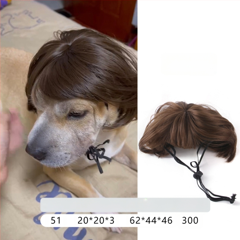 Naminio gyvūnėlio perukas, šuns, katės, tvarkingi kirpčiukai, sprogstamoji galva, meškiuko suknelė, juokingi šventiniai reikmenys