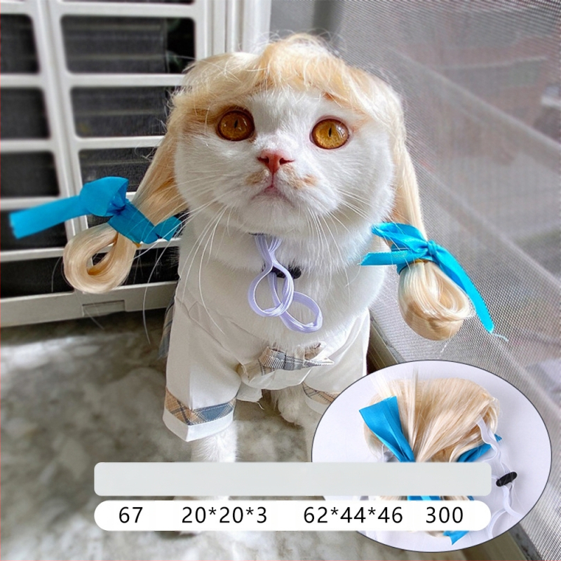 Naminio gyvūnėlio perukas, šuns, katės, tvarkingi kirpčiukai, sprogstamoji galva, meškiuko suknelė, juokingi šventiniai reikmenys