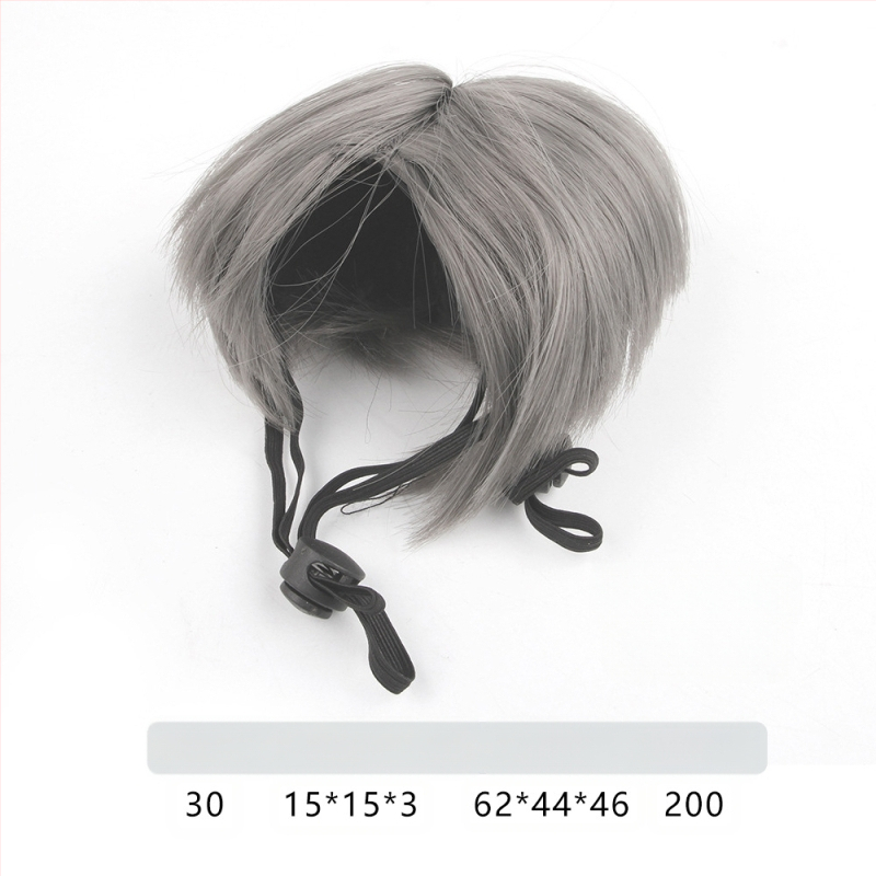 Naminio gyvūnėlio perukas, šuns, katės, tvarkingi kirpčiukai, sprogstamoji galva, meškiuko suknelė, juokingi šventiniai reikmenys