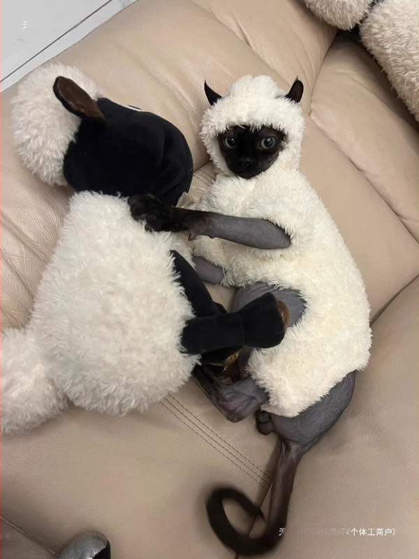 Kačių drabužiai rudeniui ir žiemai, ėriuko, Seano, mieli keturkojai, sfinkso, Devono, vilnos pamušalu, šilti, neperšalimo drabužiai.