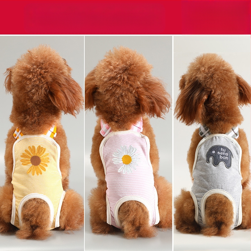 Lemmikloomade mähkmed Koerapüksid Teddy-püksid Pad Teddy-püksid Menstruatsioonipüksid Lemmikloomade tädi püksid Mähkmed