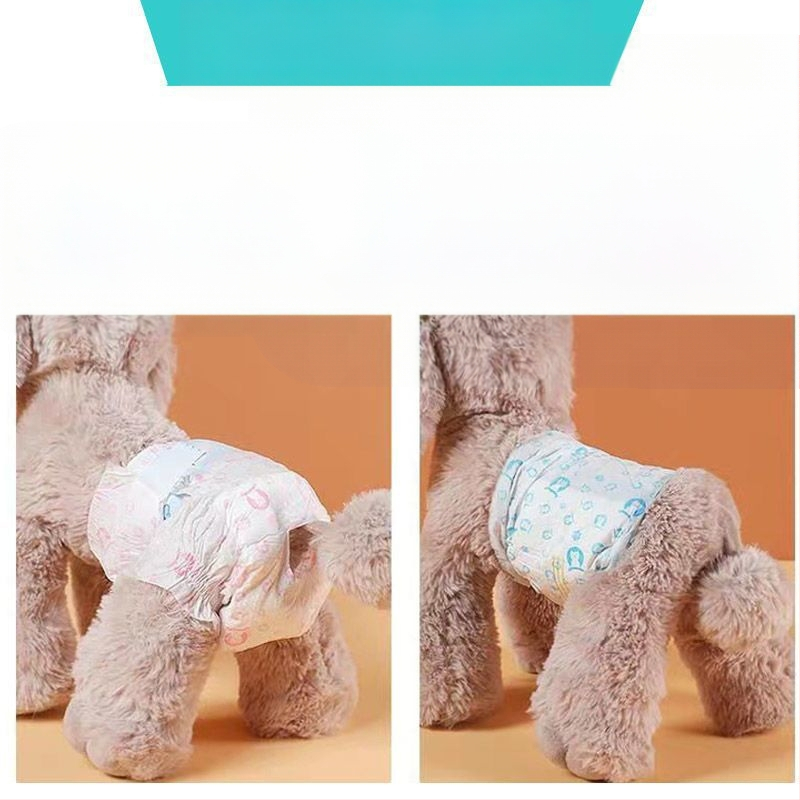 Αρσενικό σκυλί ειδικές πάνες σκύλου φυσιολογικό παντελόνι σκύλου ζώνη ευγένειας κατοικίδιων ζώων Teddy Corgi θηλυκό σκυλί θεία πετσέτα πάνες χονδρικής