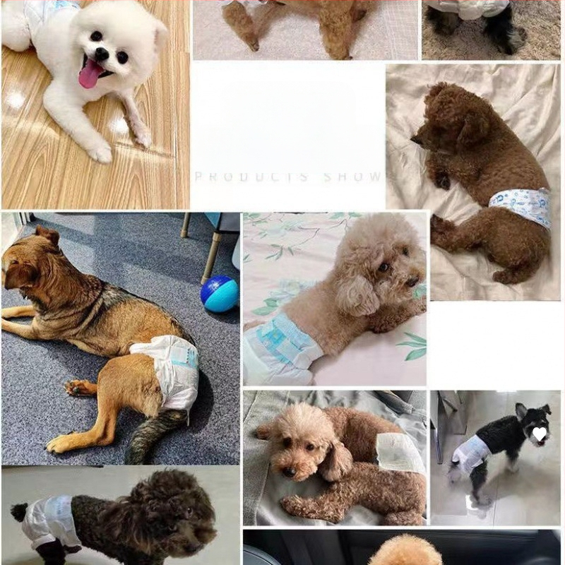 Αρσενικό σκυλί ειδικές πάνες σκύλου φυσιολογικό παντελόνι σκύλου ζώνη ευγένειας κατοικίδιων ζώων Teddy Corgi θηλυκό σκυλί θεία πετσέτα πάνες χονδρικής