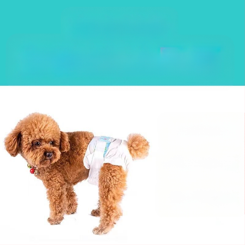 Αρσενικό σκυλί ειδικές πάνες σκύλου φυσιολογικό παντελόνι σκύλου ζώνη ευγένειας κατοικίδιων ζώων Teddy Corgi θηλυκό σκυλί θεία πετσέτα πάνες χονδρικής