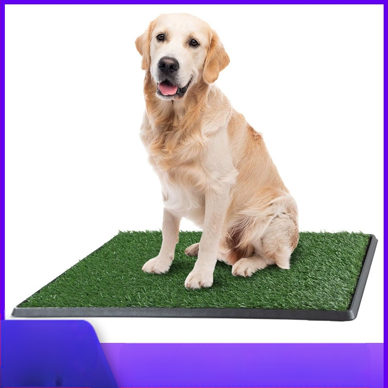 Piiriülene granuleeritud koeratualett, suur ja keskmine, väike, simulatsioonimuru, kolmekihiline koeratualett, fikseeritud punktiga treening, võltsmurutualett