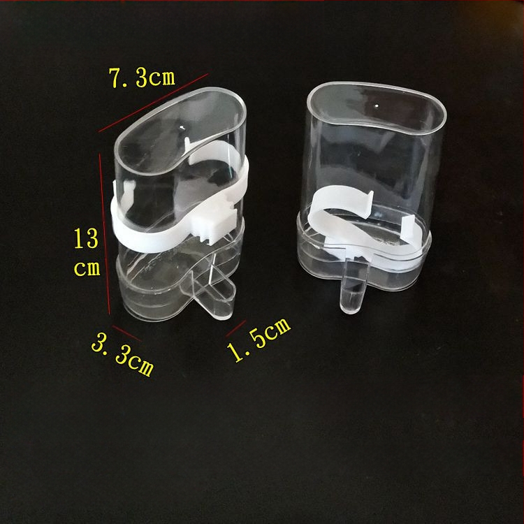 müna müna tiigri nahast papagoilind automaatse veejaoturiga veesöötja linnusöötja tuvi linnutarbed läbipaistev