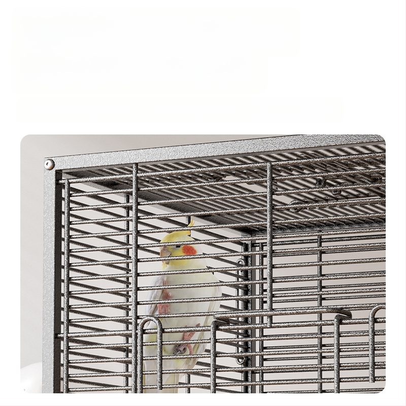 Paukščių narvelis Naujo stiliaus kryžius Šilkinis Buitinis Papūgos Tigro Odos Bijūnas Xuan Feng Varnėnas Gyvas Paukštis Maža Saulė Speciali Didelė Vila