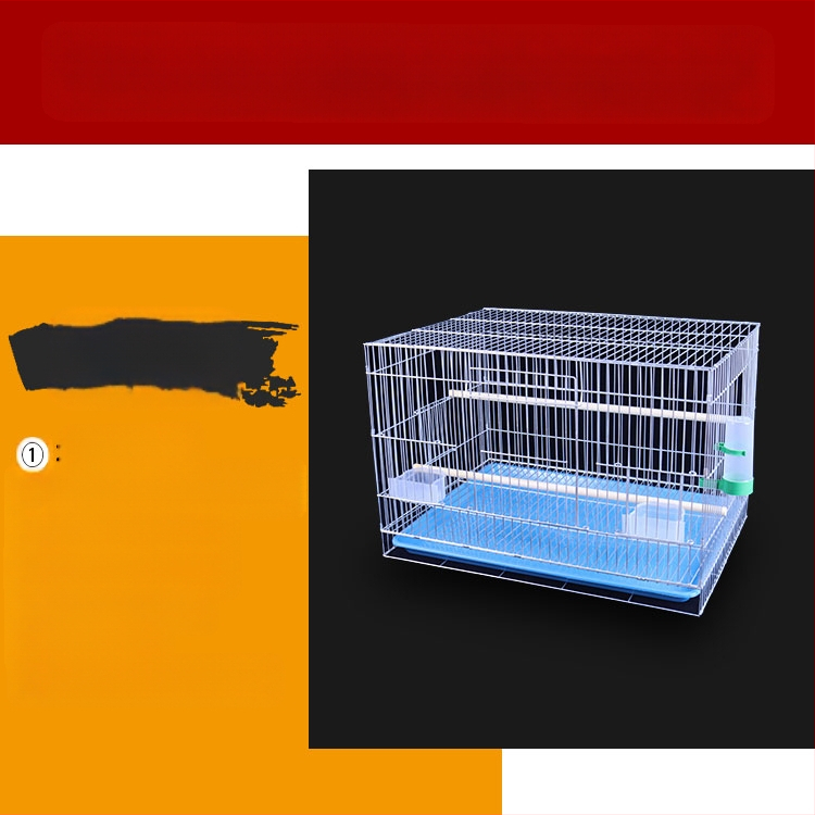 Naujas didelis, paryškintas, silpnas cinkuotas veisimo narvas, bijūnų papūgų paukščių narvas, „Xuanfeng“ vabalų balandžių didelis paukščių narvas