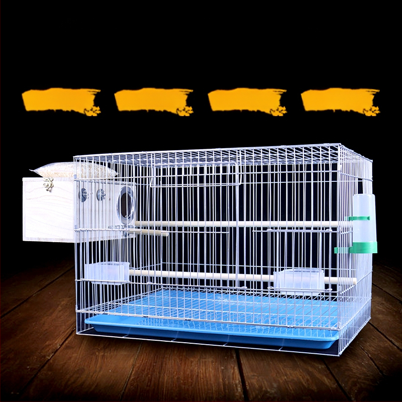 Naujas didelis, paryškintas, silpnas cinkuotas veisimo narvas, bijūnų papūgų paukščių narvas, „Xuanfeng“ vabalų balandžių didelis paukščių narvas