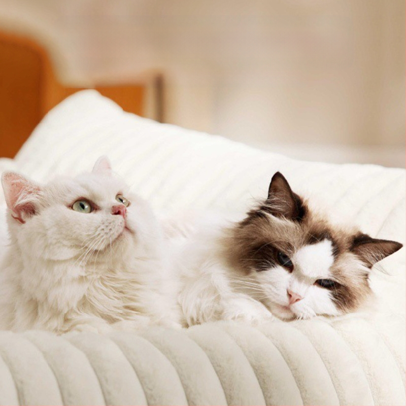 Amazon Explosions Kennel Four Seasons Univerzalni krevet za pse srednje i velike veličine, krevet za pse, zimska topla podloga, oprema za mačke i pse