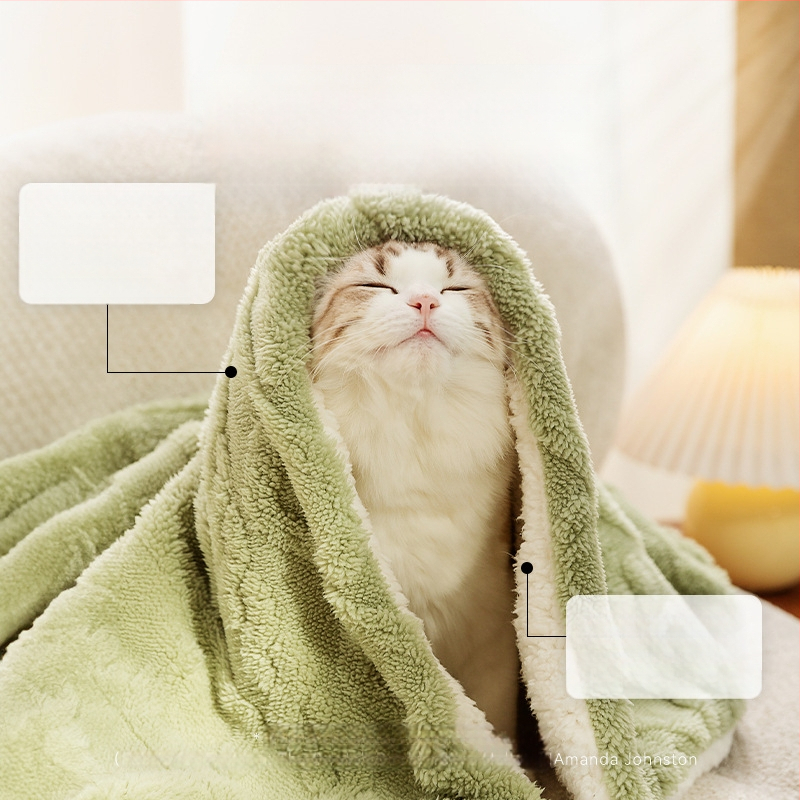 Deka za kućne ljubimce u stilu, jednobojna, topla deka za mačke, zadebljana flanelska prostirka za spavanje pasa