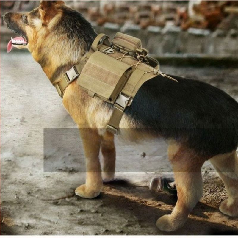 [1190 inimese kiidusõna] Veojõuköis, koerte taktikaline rinnarihmaga vesti kaelarihm hobuste ja koerte treenimiseks