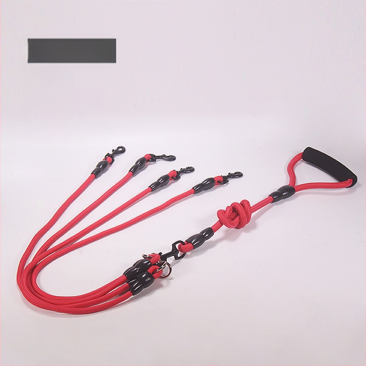 Eemaldatav kahe koera ühe lohistamisega kahe jalutusrihmaga kahepealine koera jalutusrihm koerakett kaisukaru kuldne retriiver väikestele suurtele koertele mõeldud tarvikud