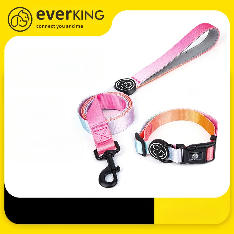 Everkingi koerarihm väikestele koertele, ketirakmed, gradientvärvi koerakaelarihm, koertele mõeldud jalutusnöör, hulgimüük