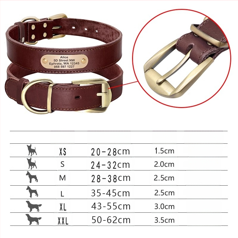 Kutyanyakörv, húzókötél, marhabőr, kutyamárka, gravírozás, veszteséggátló, arany-retriever, középső és nagytestű kutyáknak való nyakgyűrű