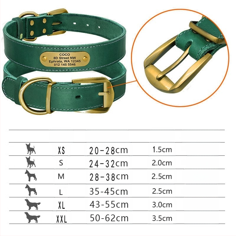 Kutyanyakörv, húzókötél, marhabőr, kutyamárka, gravírozás, veszteséggátló, arany-retriever, középső és nagytestű kutyáknak való nyakgyűrű
