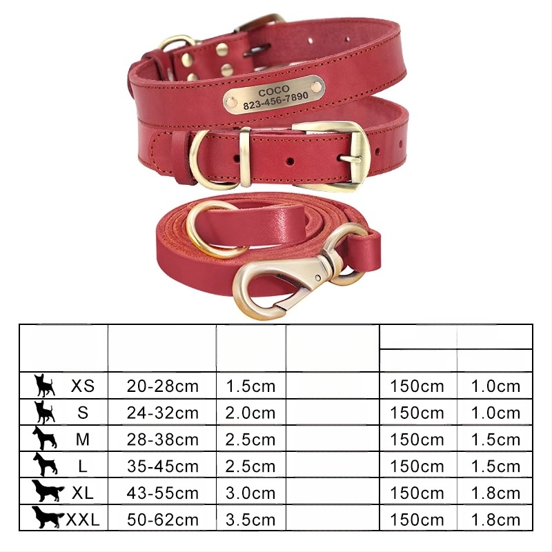 Kutyanyakörv, húzókötél, marhabőr, kutyamárka, gravírozás, veszteséggátló, arany-retriever, középső és nagytestű kutyáknak való nyakgyűrű
