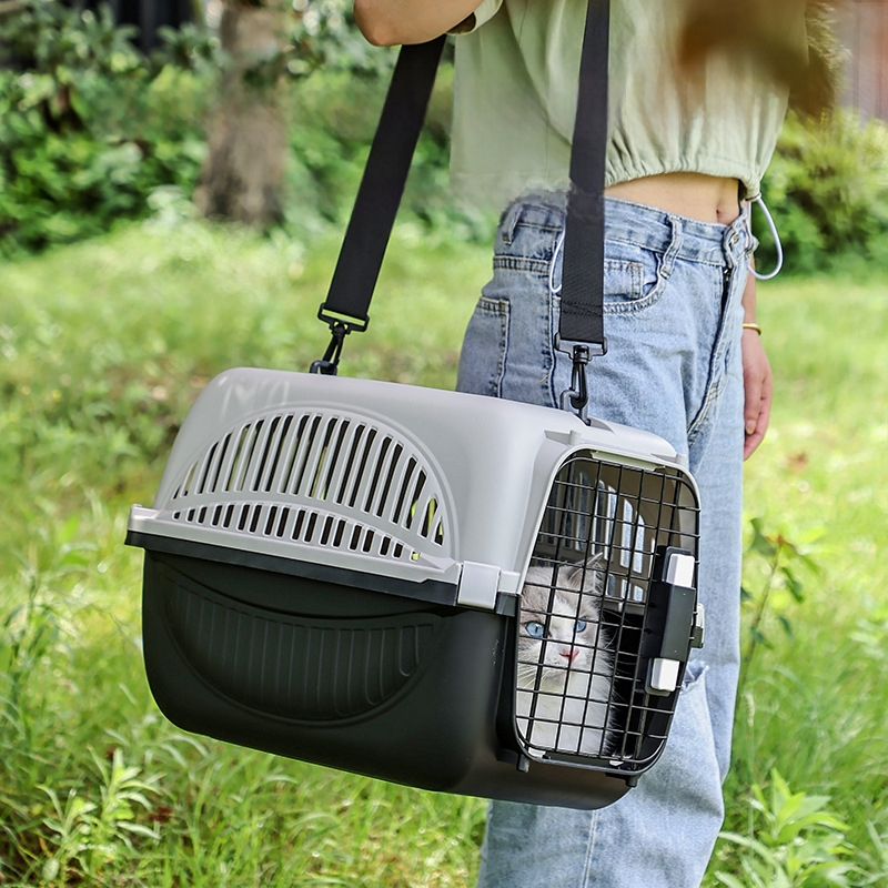 Kerge kassi väljaminev kast hingav lemmikloomapuur kaasaskantav reisikassi autokast kaasaskantav lemmikloomakast