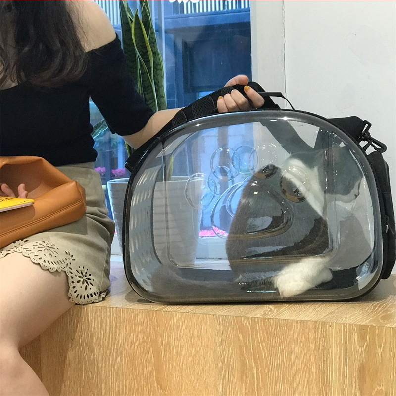 Kassikott lemmiklooma seljakott kassile ja koerale läbipaistev kokkupandav reisikott läbipaistev hingav kassikott
