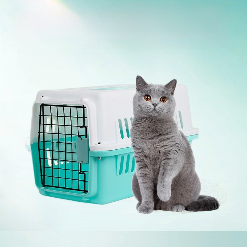 Kassi õhuümbris lemmikloomade puuri kassikott kaasaskantav reisimiseks mõeldud kosmosekamber väikese koera auto õhutranspordiümbris