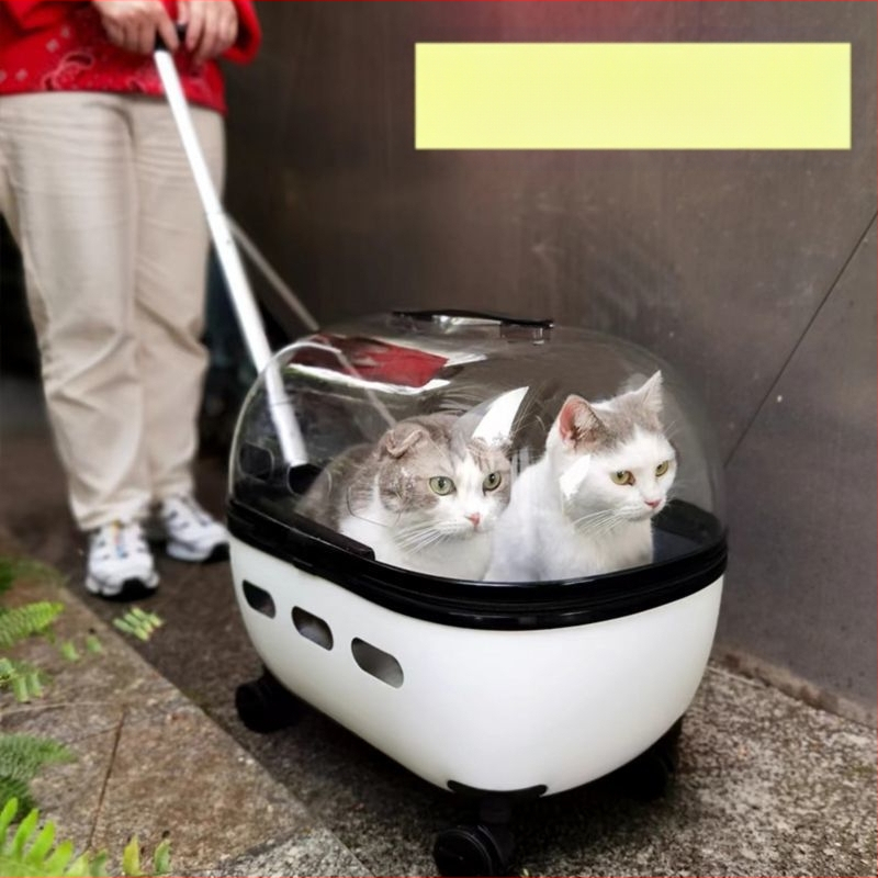 Lemmiklooma käruümbris, kassikott, väljaminev kaasaskantav kahe läbipaistva koerakotiga pagasikäru, kassi seljakott, hingav