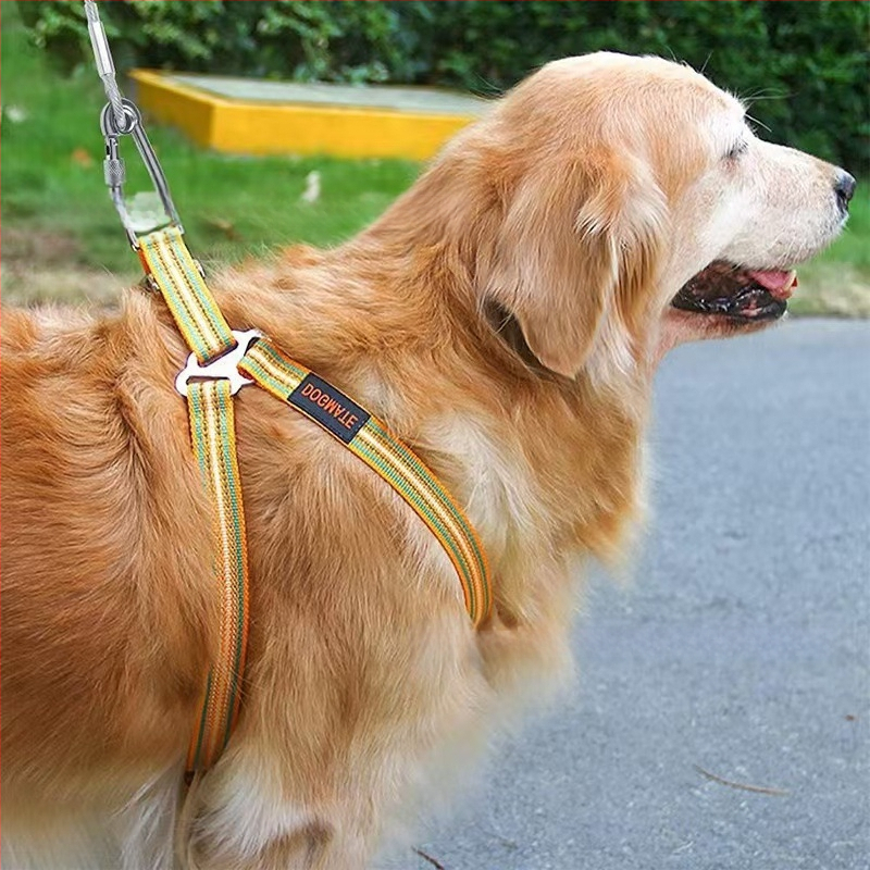 Kummikattega paks terastross lemmikloomade veojõuköis mutriga lukuga koera pandlaga välistingimustes kasutatava lemmiklooma köie hammustuskindlus