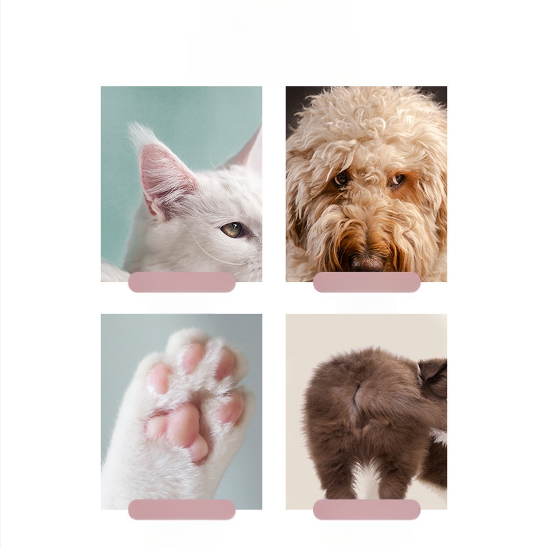 Lemmikloomatarbed Lemmikloomade jalakarvade raseerimine Kassi ja koera jalakarvade raseerimine Kassi ja koera universaalne elektriline lõikur