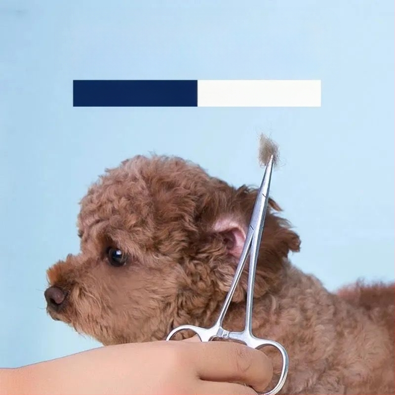 Πούδρα για αυτιά σκύλου, Τρίχες αυτιών, Πένσα για σκύλους, Πένσα για γάτες, Εργαλείο, Πένσα αιμόστασης με ίσια κεφαλή, Πένσα για τρίχες αυτιών, Καθαριστικό κατοικίδιων, Αρκουδάκι