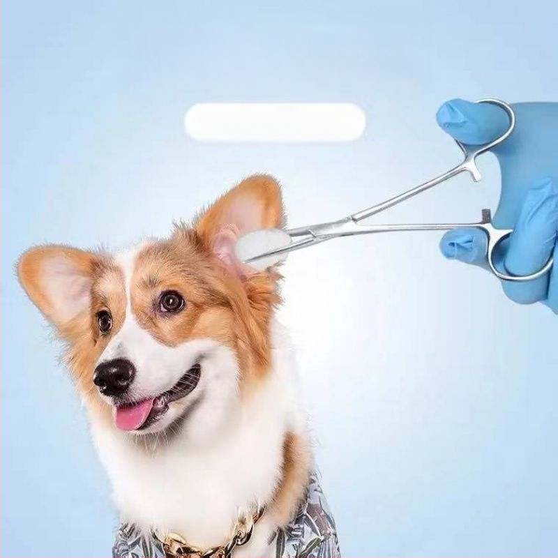 Πούδρα για αυτιά σκύλου, Τρίχες αυτιών, Πένσα για σκύλους, Πένσα για γάτες, Εργαλείο, Πένσα αιμόστασης με ίσια κεφαλή, Πένσα για τρίχες αυτιών, Καθαριστικό κατοικίδιων, Αρκουδάκι