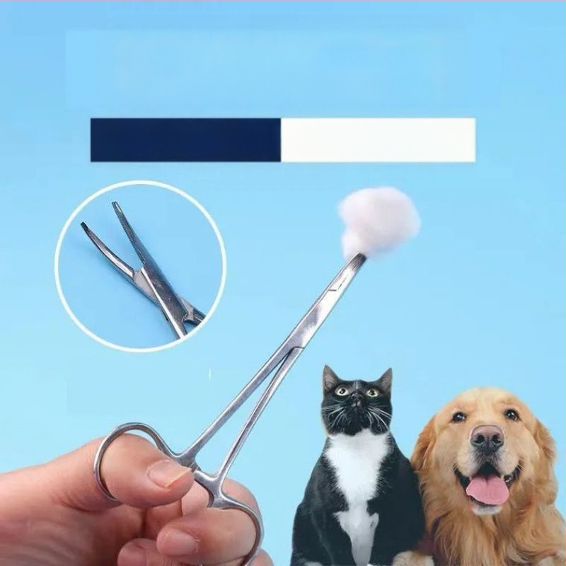 Πούδρα για αυτιά σκύλου, Τρίχες αυτιών, Πένσα για σκύλους, Πένσα για γάτες, Εργαλείο, Πένσα αιμόστασης με ίσια κεφαλή, Πένσα για τρίχες αυτιών, Καθαριστικό κατοικίδιων, Αρκουδάκι