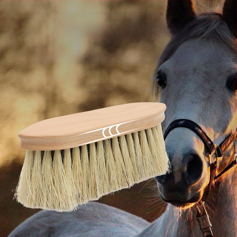 Lófelszerelések, Lótisztító kefe, Gyapjúkefe, Szizál kókuszpálma kefe, Tömörfa fürdőkádtisztító kefe, Lókefe