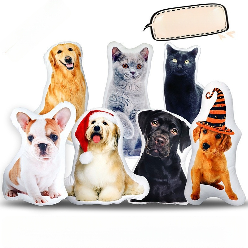 Tulnuka isetegemise Buddha väike kaaslane 3D-padi ilma ääriseta prinditav foto ilma valge servata naljakas liivaskulptuuri nukutehase kohandamine